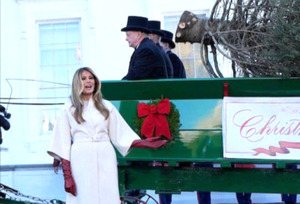 Мелания Трамп Цагаан ордны гацуур модыг хүлээн авав